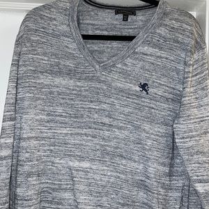 Express V-Neck Sweater
